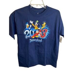 2013 DISNEYLAND resort park SHIRT Disney L youth  hanes mickey pluto donald blue